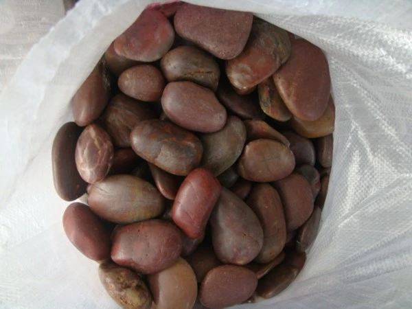 product-600-450
